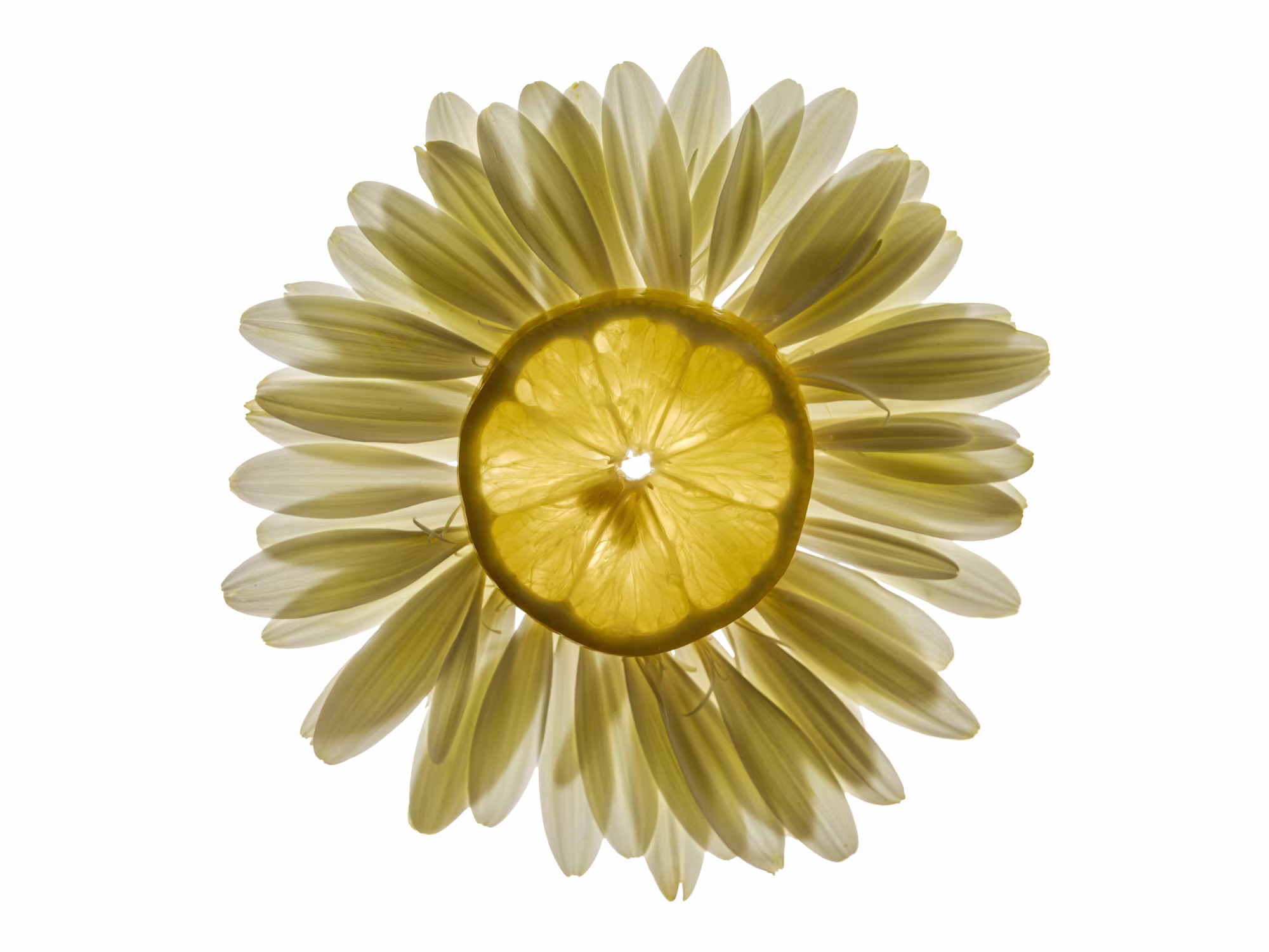 Flavors of the World: A Culinary Expedition Through Iconic Dishes